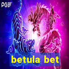 betula bet